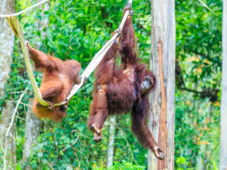 踏缤野生动物保护区