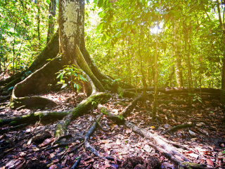 踏缤野生动物保护区