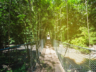 踏缤野生动物保护区