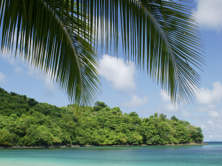 科伊瓦岛国家公园