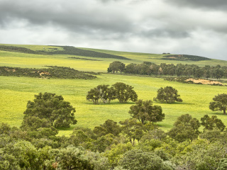勒苏尔国家公园