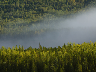 利亚德河温泉省级公园