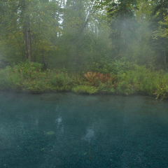 Steam rises from natural hot springs pool at Liard Hot Springs, British Columbia, Canada