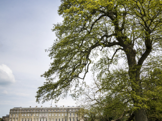 佩特沃斯艺术馆