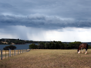 菲利普自然公园丘吉尔农场
