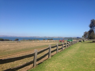 菲利普自然公园丘吉尔农场