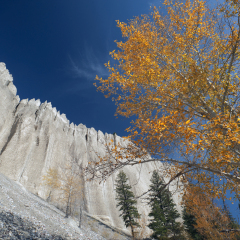 Limestone Columns by Fairmont Hot Springs