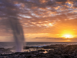 可爱岛号角喷泉