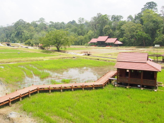 马来西亚农业公园