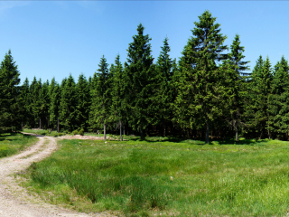 雷恩施泰克大道