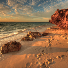Picture taken in Coral Bay, Australia