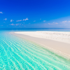 Beautiful amazing nature background. Tropical blue sun sea. Luxury holiday resort. Island atoll about coral reef. Fresh  freedom. Adventure day. Snorkeling. Coconut paradise. 
