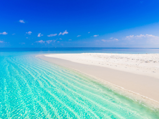 珊瑚海岸和皮尔巴拉