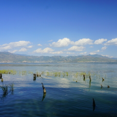 云南 大理 洱海 海舌公园 