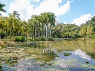 西双版纳热带植物园百果园