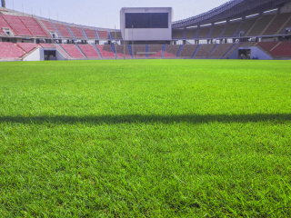 大田世界杯体育场