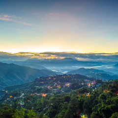 Misty Blue hour of Mines View Park