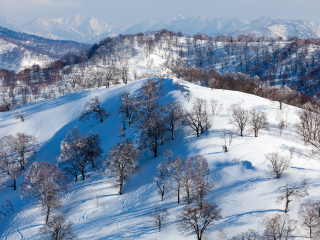 野泽温泉滑雪场