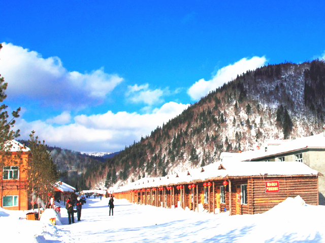 哈尔滨-五常-大雪谷-雪乡-亚布力5日-途牛