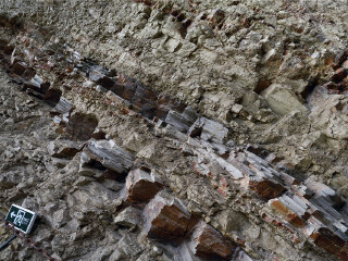 宁城国家地质公园