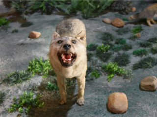 宁城国家地质公园