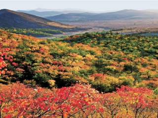 宁城国家地质公园