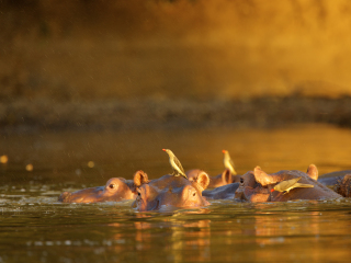 马纳潭国家公园