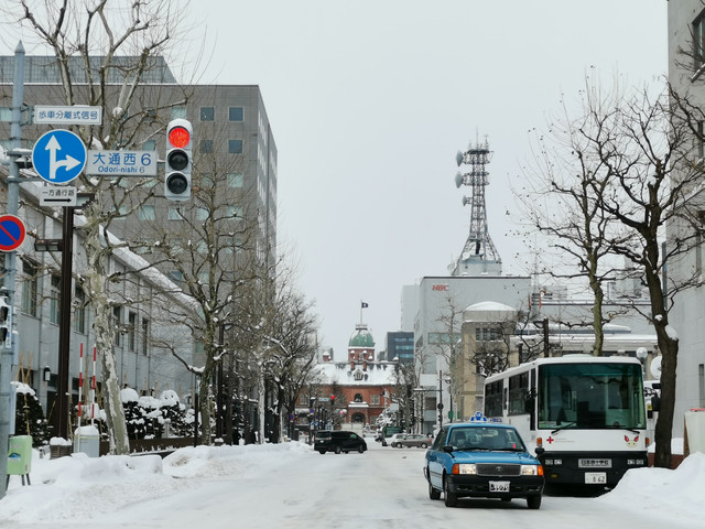 听 北海道雪落下的声音 北海道 攻略游记 途牛