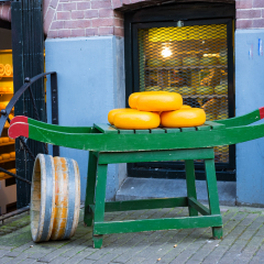 Cheese to buy