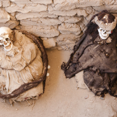 Mummies - Chauchilla Cemetery - Peru