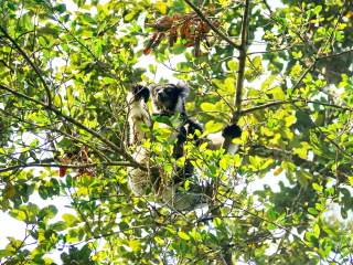 昂达西贝国家森林公园