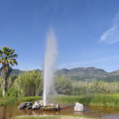 Old Faithful Geyser in Calistoga, California, USA
