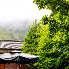 Laojunshan, Lijiang, Yunnan