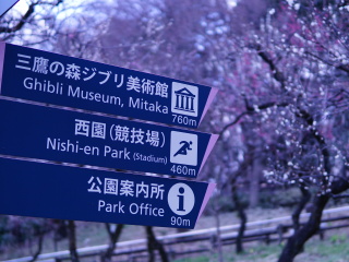 三鹰森（宫崎峻）博物馆