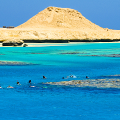 People snorkeling beside the island Giftun in the red sea