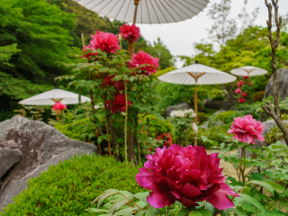 当麻寺