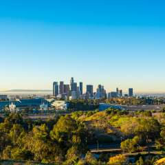 view of dodger stadium and downtown Los Angeles from Elysian Park