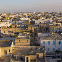 Medina of Sousse, with neaby houses, in he sunset
