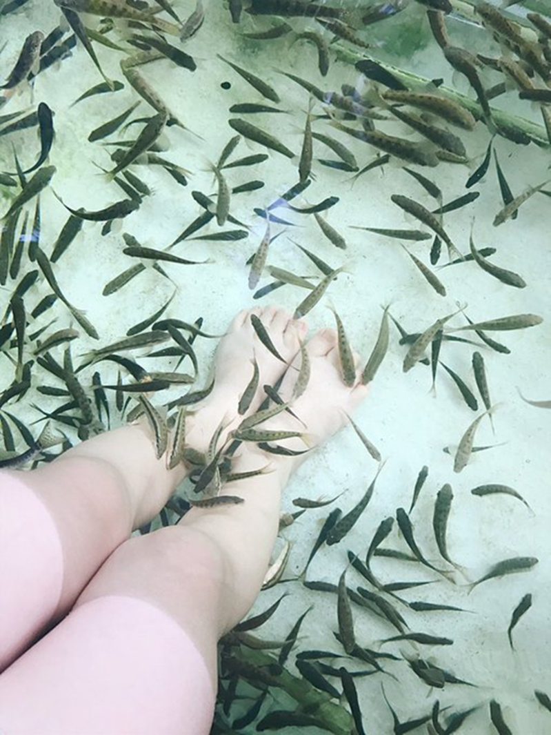 大東海還有魚療,把腳伸進去,小魚會馬上湊到腳邊啃食腳丫子,這樣的