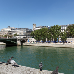 Paris plage and pigeons