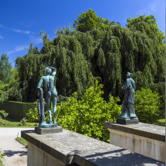 Beautiful alley near Charlottenhof palace in the Sanssouci park in Potsdam in Germany