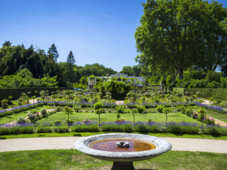 夏洛腾霍夫公园