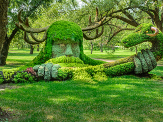 蒙特利尔植物园