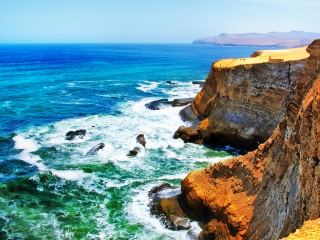 帕拉卡斯自然保护区