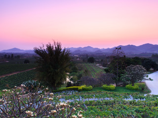 华欣葡萄酒庄园