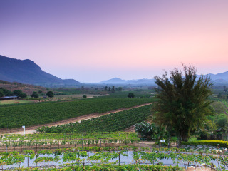 华欣葡萄酒庄园