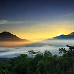 sunrise  Mountain
Location Kintamani Bali