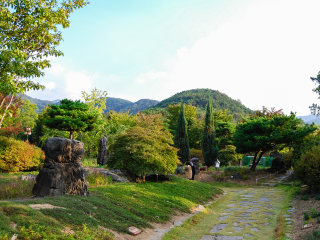 大邱植物园