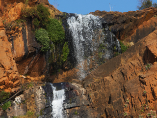 约翰内斯堡植物园