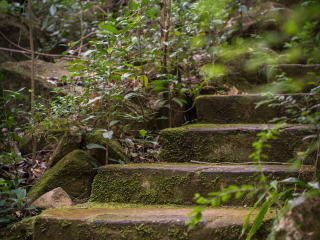 约翰内斯堡植物园
